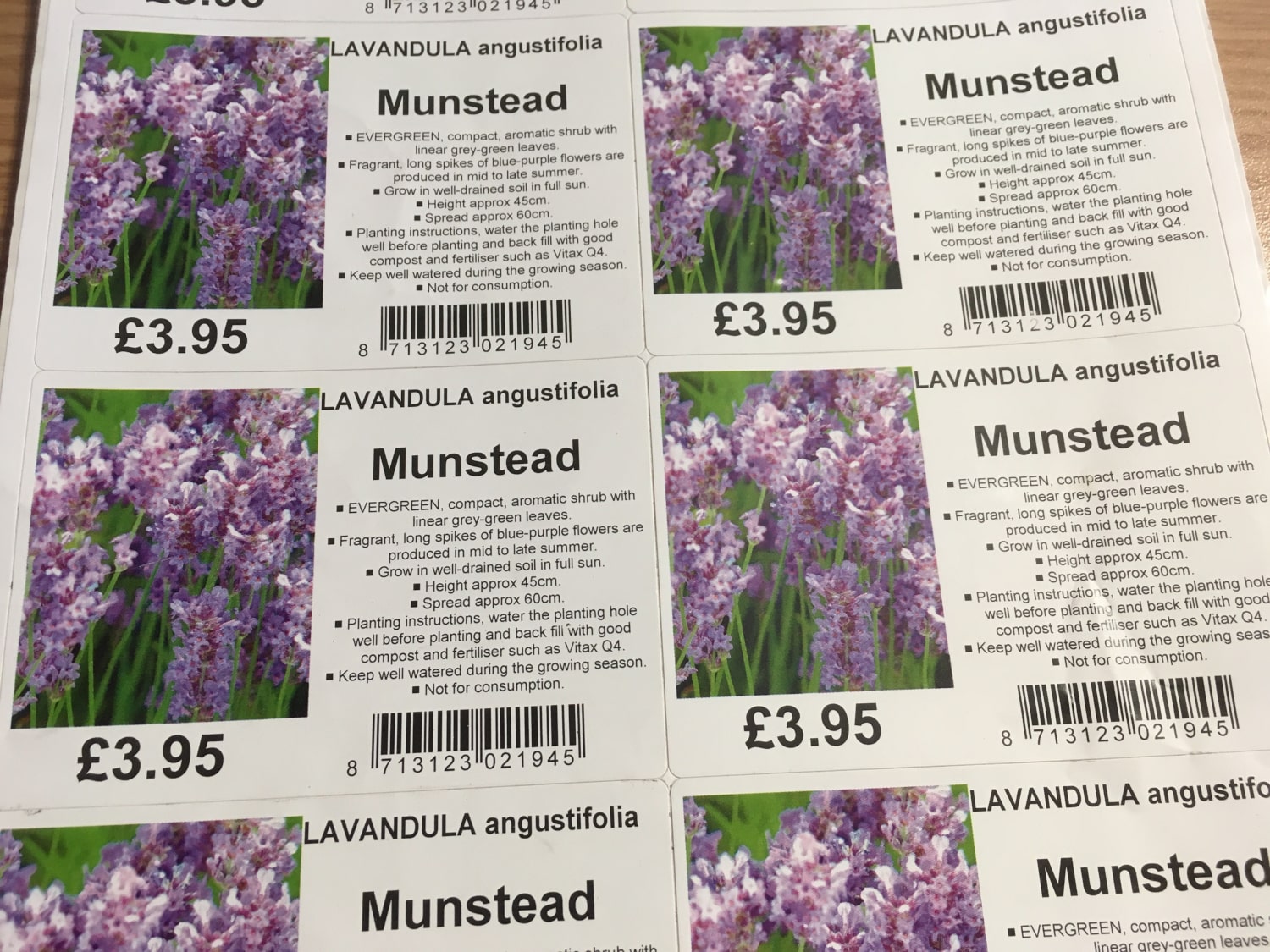 A4 Sheet Sticky Plant Labels